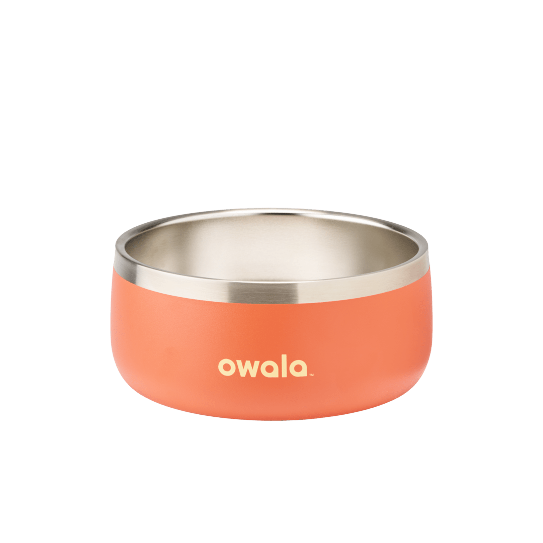 Pet Bowl [54GV]