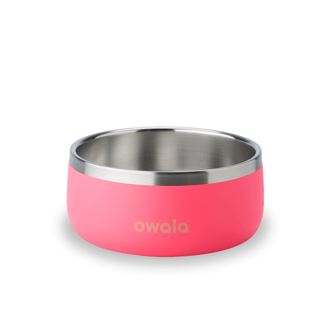 Pet Bowl [54GV]