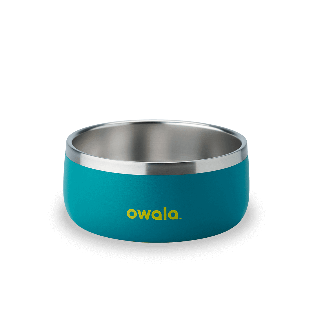 Pet Bowl [54GV]