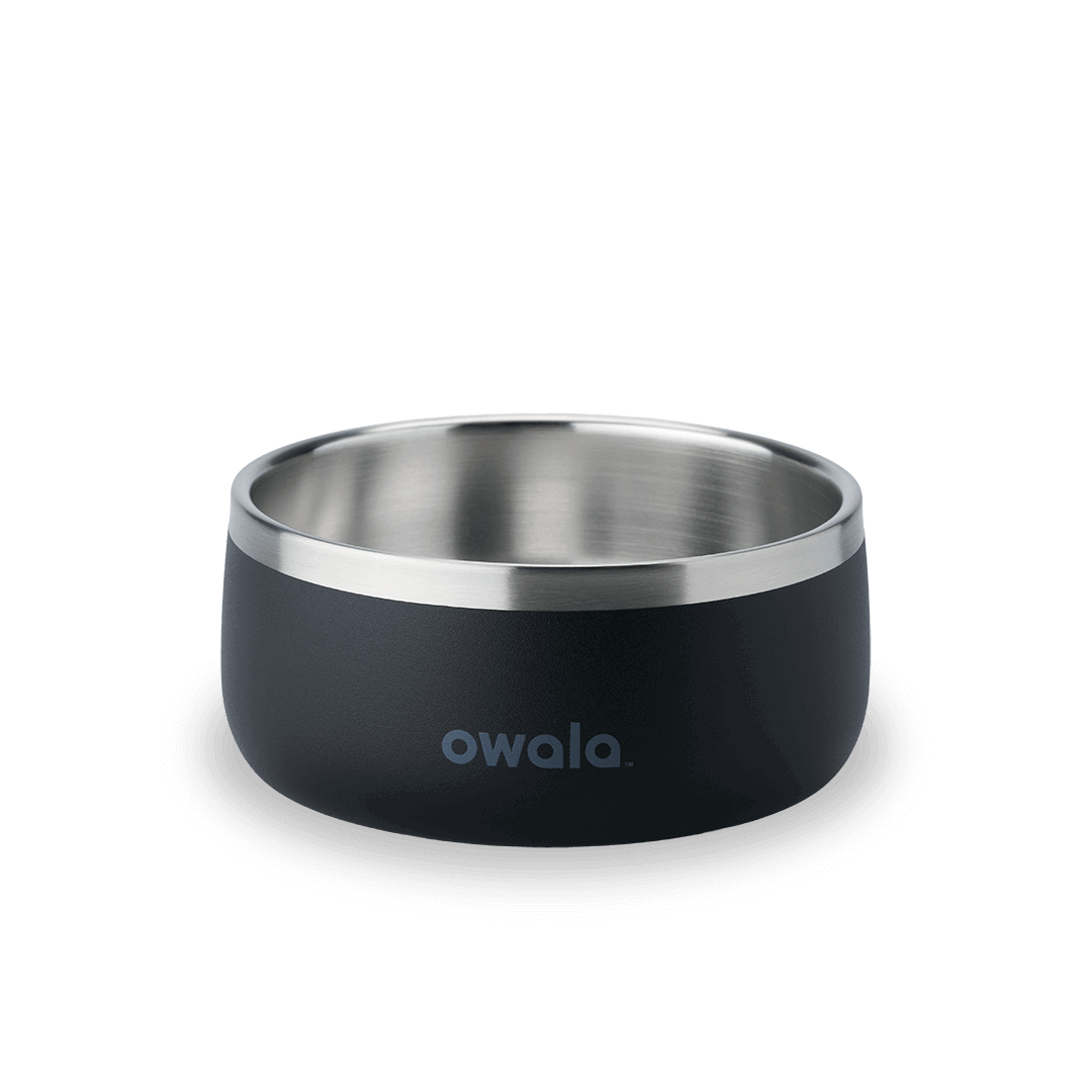 Pet Bowl [54GV]